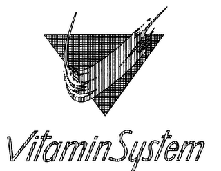 VITAMIN SYSTEM logo