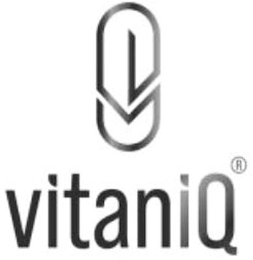 VITANIQ logo