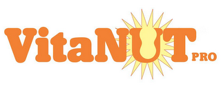 VITANUT PRO logo