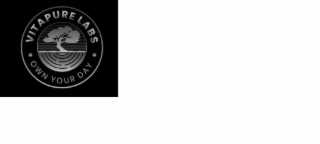 • VITAPURE LABS • OWN YOUR DAY logo
