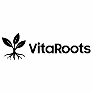 VITAROOTS logo