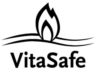 VITASAFE logo