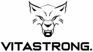 VITASTRONG. logo