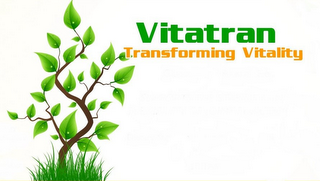 VITATRAN TRANSFORMING VITALITY logo