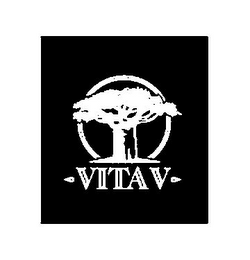 VITAV logo