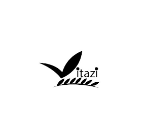 VITAZI logo