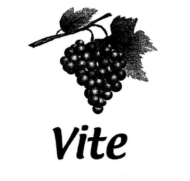 VITE logo
