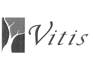 VITIS logo