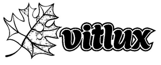 VITLUX logo