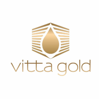 VITTA GOLD logo