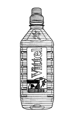 VITTEL logo