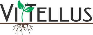 VITTELLUS logo