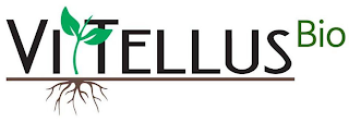 VITTELLUSBIO logo