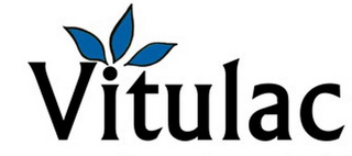 VITULAC logo