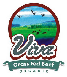 VIVA GRASS FED BEEF ORGANIC logo