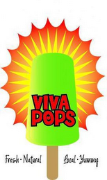 VIVA POPS FRESH NATURAL LOCAL YUMMY logo