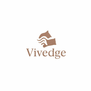 VIVEDGE logo
