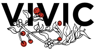 VIVIC logo