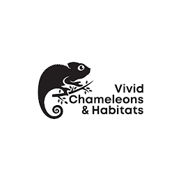 VIVID CHAMELEONS & HABITATS logo