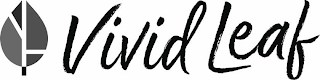 VIVID LEAF logo