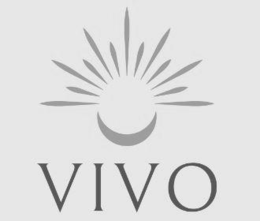 VIVO logo