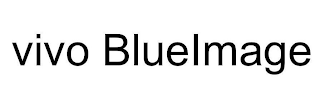 VIVO BLUEIMAGE logo