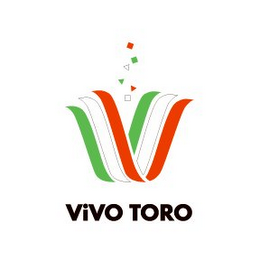 VIVO TORO logo