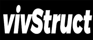 VIVSTRUCT logo