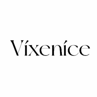VIXENICE logo