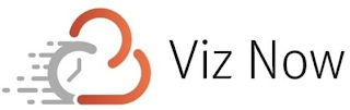 VIZ NOW logo