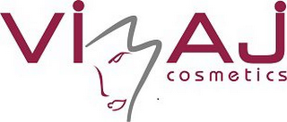VIZAJ COSMETICS logo