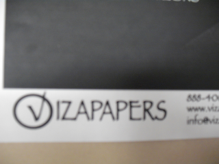 VIZAPAPERS logo