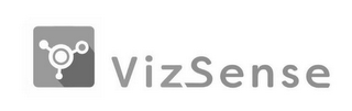 VIZSENSE logo