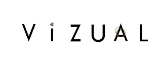 VIZUAL logo