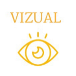 VIZUAL logo