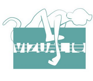VIZUAL IQ logo