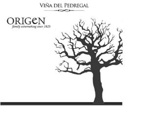 VIÑA DEL PEDREGAL ORIGEN FAMILY WINEMAKING SINCE 1825 logo