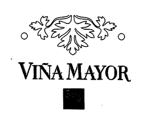 VIÑA MAYOR logo