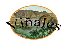 VIÑALES logo