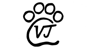 VJ logo