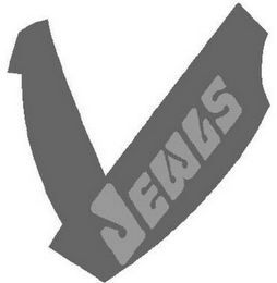 VJEWLS logo