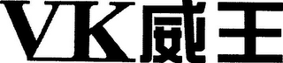 VK logo