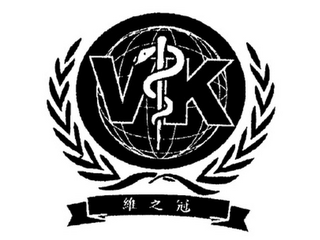 VK logo