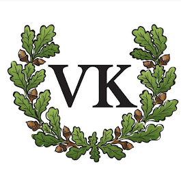 VK logo