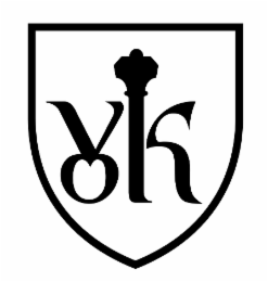 VK logo