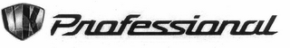 VK PROFESSIONAL logo