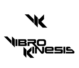 VK VIBRO KINESIS logo