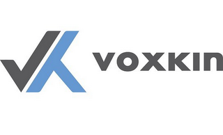 VK VOXKIN logo
