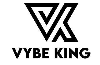VK VYBE KING logo