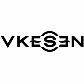 VKESEN logo